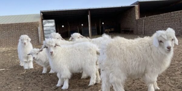 Herder training in Inner Mongolia begins!