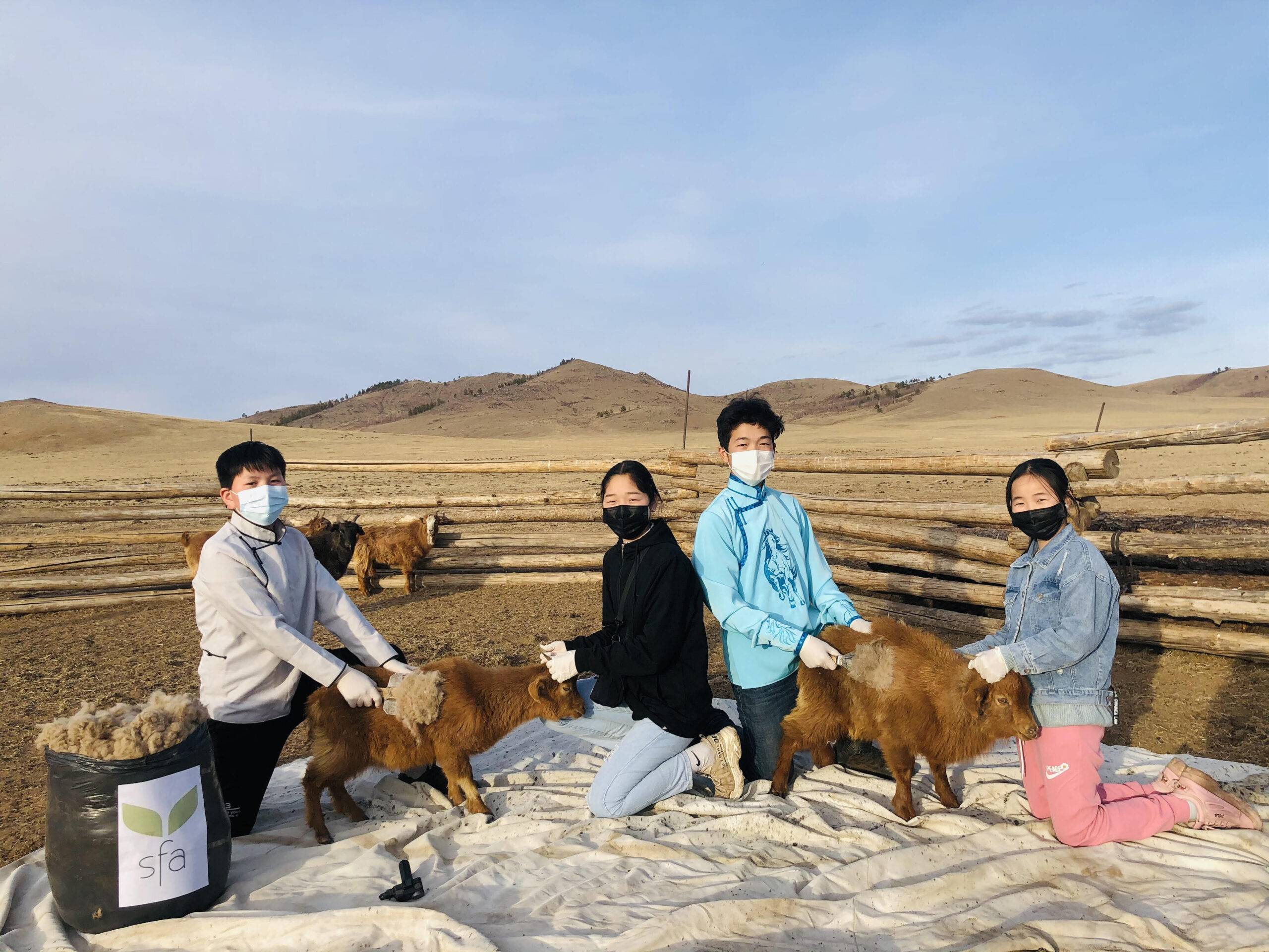 invest-in-sustainable-cashmere-sector-join-sfa-and-support-2030-sdgs