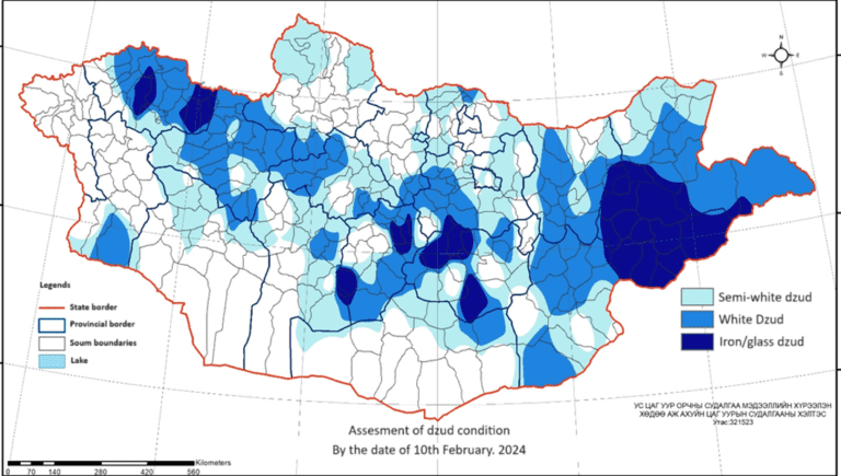 Dzud Hits Mongolia | Devastating Conditions for Livestock & Herders | SFA