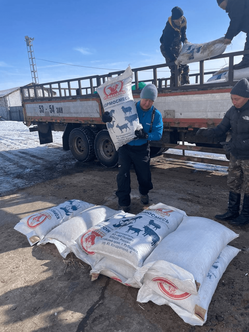 Dzud Hits Mongolia | Devastating Conditions for Livestock & Herders | SFA
