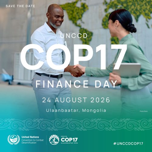 COP17_Finance_Day_3_Crop