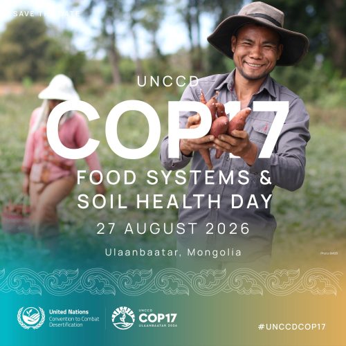 COP17_Thematic_days_alternative_visuals9_Crop